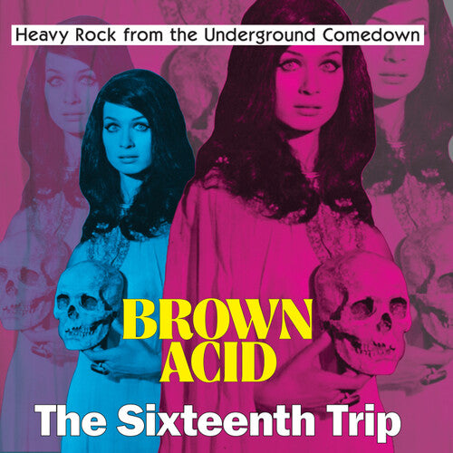 Various Artists: Brown Acid - The Sixteenth Trip (Various Artists)