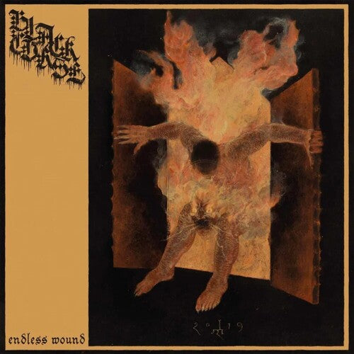 Black Curse: Endless Wound